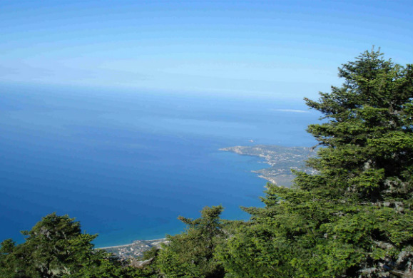 Εθνικός Δρυμός Αίνου: Εξερευνήστε τον με τα πόδια