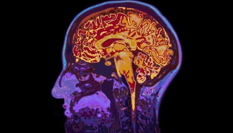 mas-klevoun-ti-skepsi-1