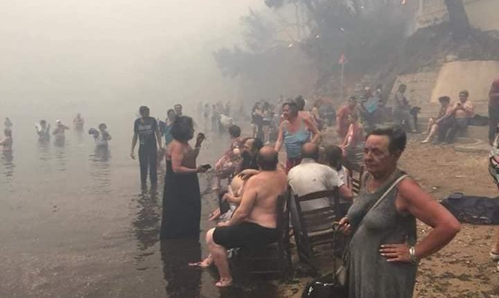 Που είναι τώρα οι ΜΚΟ να βοηθήσουν τους πυρόπληκτους; Άφαντες επειδή δεν είναι πρόσφυγες;